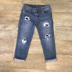 New York & Co Cropped Boyfriend Soho Jeans